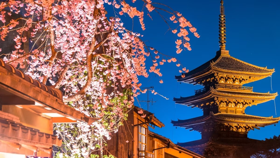 京都一戶建，詩意棲息與資產(chǎn)配置的完美結(jié)合