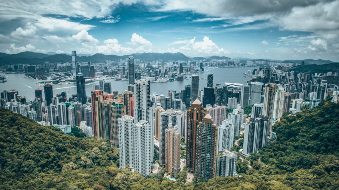 香港高才通計劃，申請門檻有望降低！
