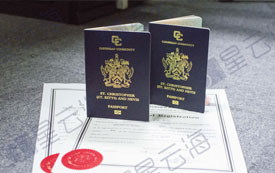 喜訊|恭喜P先生喜獲圣基茨·尼維斯護(hù)照和公民證書！