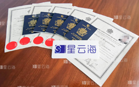 喜訊|恭喜Q女士及家人獲圣基茨·尼維斯護照和公民證書！