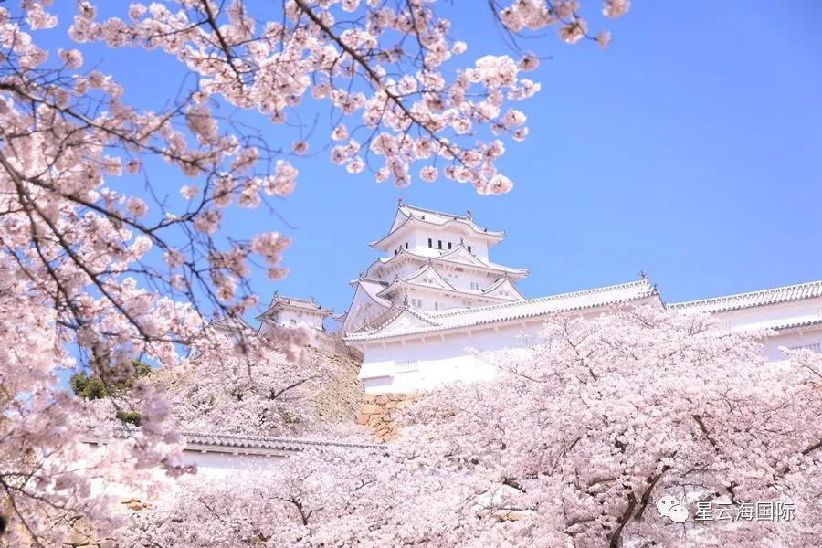定了！日本將從3月起放寬入境限制
