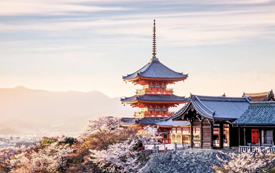 日本丨一張日本經(jīng)營管理簽證，能帶給您什么？